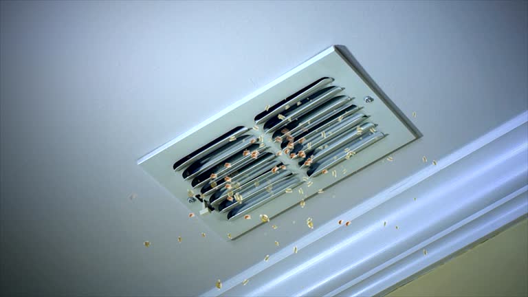 Best General Air Duct Cleaning  in Long Neck, DE