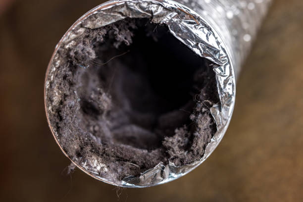 Best Duct Cleaning for Homes  in Long Neck, DE